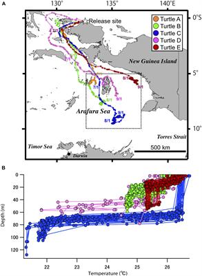 Impacts of Temperature Measurements From <mark class="highlighted">Sea Turtles</mark> on Seasonal Prediction Around the Arafura Sea
